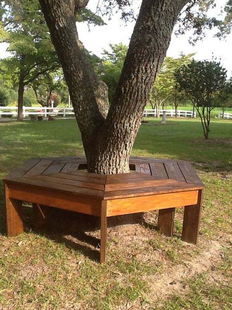 Around The Tree Bench, Landscape Around Oak Tree, Bench Around Tree Diy, Tree Bench Wrap Around, Seating Around Tree, Tree Surround Ideas, Around Tree Bench, Bench Under Tree, Bench Around Tree