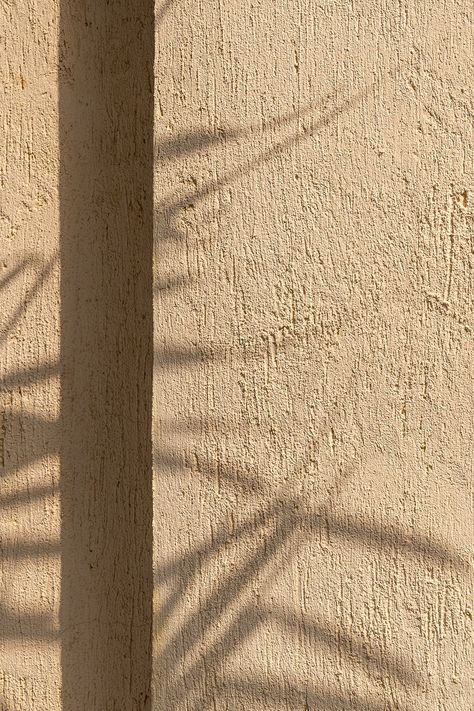 Shadow of leaves on a concrete wall | free image by rawpixel.com / Jira Shadow On Wall, Wall Shadow, Shadow Background, Leaf Shadow, Ombres Portées, Minimal Photography, Shadow Play, Aesthetic Japan, 背景 シンプル