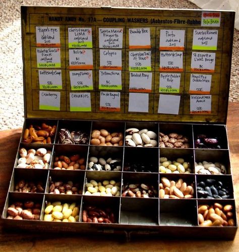 Montessori, Gardening Knowledge, Native Nursery, Seed Library, Harvest Storage, Cool Beans, Seed Storage, Lending Library, Seed Box