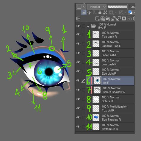 Vtuber's Eye (Divided into layers) - CLIP STUDIO ASSETS Vtuber Eye Layers, Vtuber Separation Guide, Vtuber Guide, Vtuber Layers, Vtuber Model Base Oc, Vtuber Eyes Reference, Vtuber Hair Ideas, Vtuber Tutorial, Bunny Slug