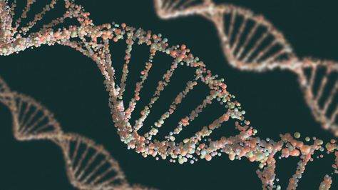 DNA helix Dna Activities, Dna Facts, Dna Project, Gene Expression, Scientific Discovery, Genetic Testing, Molecular Biology, First Humans, Dna Test