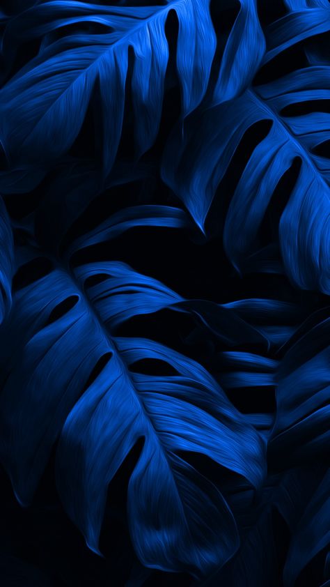 #dark#blue#leaves#wallpaper Art For Dark Blue Wall, Dark Blue And Black Background, Dark Blue And Black Aesthetic Wallpaper, Dark Blue Minimalist Wallpaper, Blue Leaves Aesthetic, Blue Aesthetic Masculine, Dark Blue Black Wallpaper, Black And Blue Wallpaper Backgrounds, Navy Blue Background Wallpapers