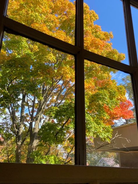 Autumn Window, Light Autumn, Window Views, Fall Windows, Fall Leaf, Season Of The Witch, Fall Feels, Window View, Harvest Moon