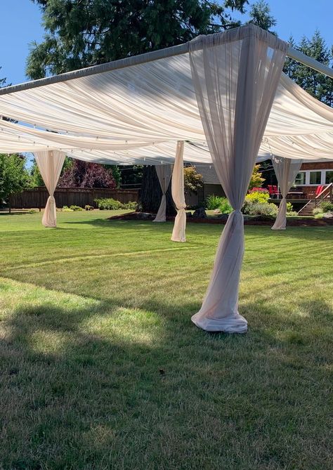 Backyard Draping Ideas, Wedding Canopy Outdoor Draping, Diy Wedding Canopy, Small Outdoor Wedding Reception, Small Garden Wedding Ideas, Small Outdoor Wedding Ideas, Small Wedding Reception, Wedding Canopy Outdoor, Willow Tree Wedding