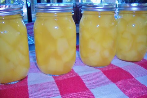 Zucchini Candy, Mock Pineapple, Preserve Recipes, Zucchini Pineapple, Homestead Canning, Canned Veggies, Fermenting Foods, Homestead Diy, Zucchini Relish