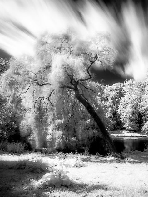 Infrared Photography Black And White, What Is Motion, Motion Blur Photography, Camera Techniques, Blur Photography, Infrared Photography, Red Photography, Digital Photography School, Motion Blur