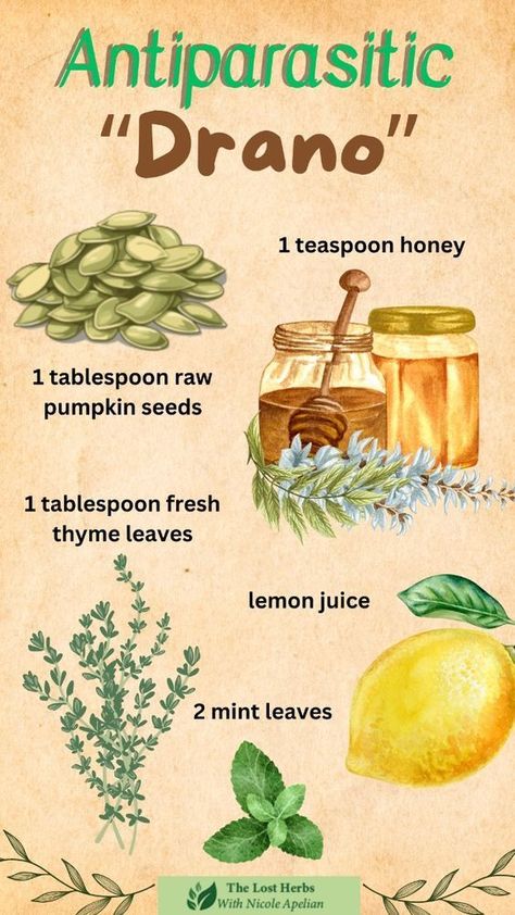 Herbs To Get Rid Of Parasites, Juice For Parasites, Natural Antiparasite, How To Get Rid Of Diaherra Fast, Natural Remedies For Parasites, Juicing For Parasites, Foods To Get Rid Of Parasites, Diaherra Home Remedy, Parasite Cleanse Herbs