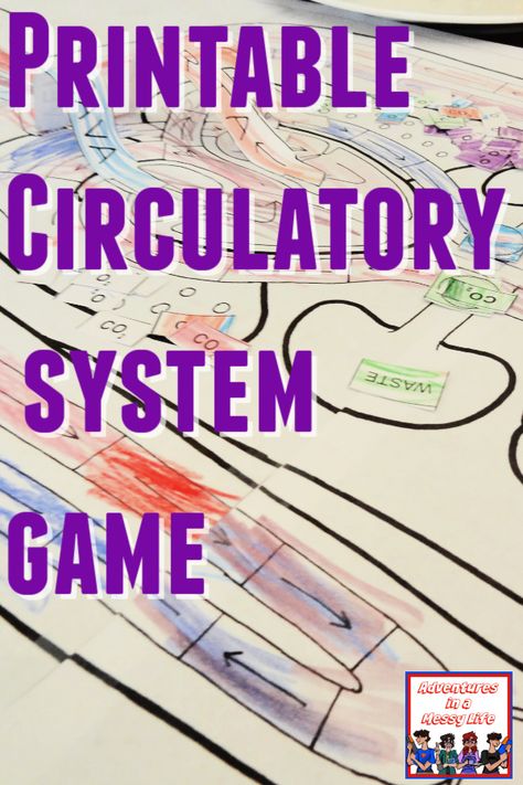 Anatomy for kids: circulatory system game Circulatory System For Kids, Human Body Homeschool, Health Science Classroom, Anatomy For Kids, Circulatory System Activities, Science Projects For Middle School, Body Science, Human Body Science, Messy Life