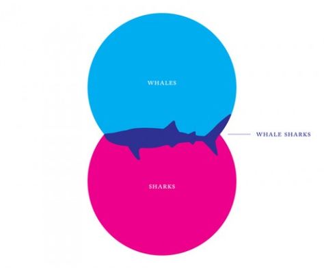 Ven Diagrams, Funny Commercial Ads, Venn Diagrams, Whale Sharks, Funny Commercials, Vivid Dreams, Diagram Design, Venn Diagram, Shark Bites