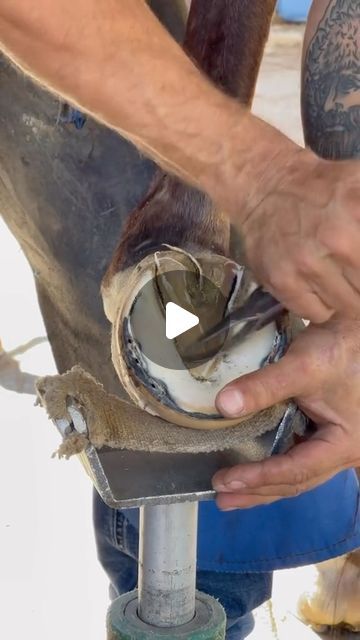 RELAXIFY | Oddly Satisfying on Instagram: "Something satisfying for all of the horse girlies out there 🐴
📹: maupinfarrierco

#Farrier #Horse #HorsesOfInstagram #OddlySatisfying #Satisfying #ExplorePage #Viral #HorseGirl #HorseShoe" Oddly Satisfying, Horse Girl, The Horse, Horses, Animals, On Instagram, Instagram