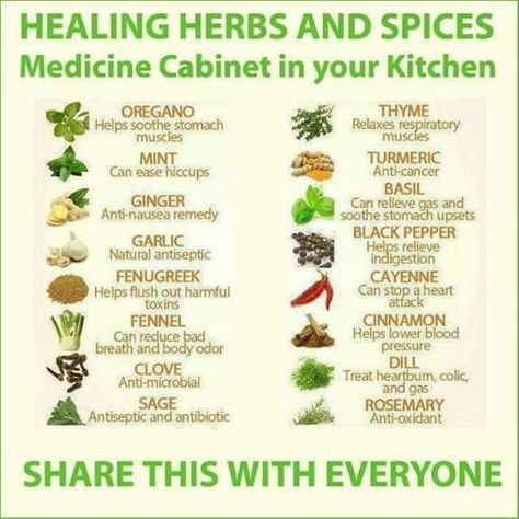 Medicinal Herb Garden, Jamaican Jerk Seasoning, Remedies For Nausea, Relieve Gas, Medicinal Herbs Garden, Health Chart, Total Life Changes, Medicinal Herb, Jerk Seasoning