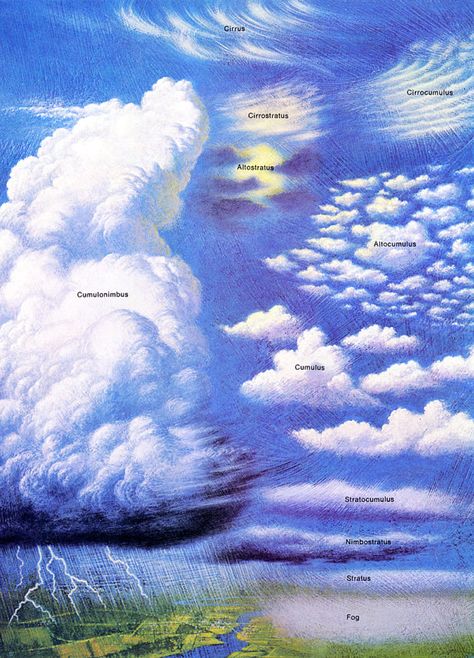 Vintage Cloud Classification Poster by ThePosterProvider on Etsy Watercolour Tutorials, Cloud Classification, Lightning Clouds, Cumulonimbus Clouds, Cirrus Cloud, Cloud Type, Lightning Cloud, Advertising Posters, Vintage Advertising Posters