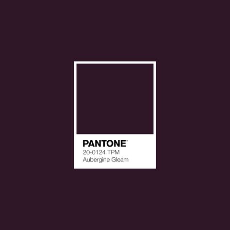 Aubergine Color Palette, Brown Pantone, Aubergine Colour, Deep Autumn Color Palette, Aubergine Color, Pantone Colour Palettes, Blue Paint Colors, Blue Colour Palette, Graphic Design Fun