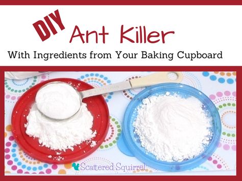 Say 'So Long' to Ants with this Easy DIY Ant Killer - Scattered Squirrel Ant Trap Diy, Diy Ant Trap, Diy Ant Killer, Ant Killer Recipe, Ant Bait, Baking Cupboard, Sugar Ants, Borax Cleaning, Ant Spray