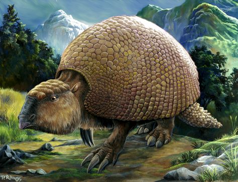 Glyptodon by PavelRiha Wildlife Documentary, Ground Sloth, Bird Facts, Prehistoric World, History Videos, Ancient Humans, Early Humans, Ancient Animals, Homeschool History