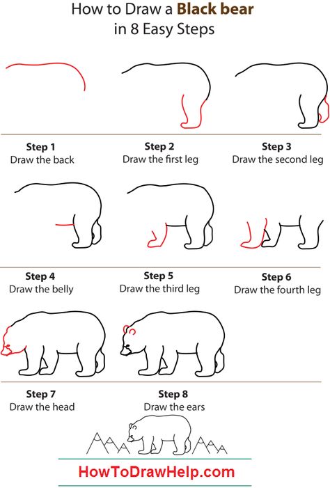 how-to-draw-a-black-bear-step-by-step Black Bears Art, Bear Paintings, Bear Silhouette, Bear Drawing, Bear Pictures, Bear Art, Drawing Lessons, Cute Animal Drawings, Step By Step Drawing