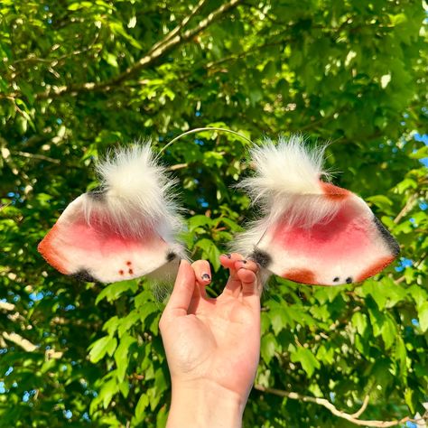 Two new ready to ship cosplay ears! Large Red / Black Anubis Ears & Brown Spotted Cow Ears! ❤️ both available in the ready to ship section in my Et$y Shop! — - - - #puppygirl #puppyears #cosplayears #costumeears #fauxfurears #furryears #cowears Black Elf Ears, Cow Ears Headband, Sheep Ears Cosplay, Animal Ears Cosplay, Sheep Costumes, Cow Ears, White Cow, Metal Headbands, Animal Ears