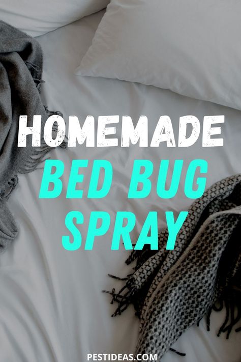 Oils For Bed Bugs, Essential Oils To Repel Bed Bugs, Essen, Essential Oil For Bed Bugs, Bed Bug Repellent Essential Oils, How To Get Rid Of Bed Bugs Naturally, Natural Bed Bug Spray, Natural Bed Bug Remedies, How To Get Rid Of Bed Bug Bites