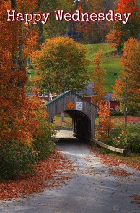 Happy Wednesday! Live your best life today! 🌞 Wednesday Fall, Woodstock Photos, Vermont Fall, Covered Bridge, Autumn Scenery, Live Your Best Life, Good Morning Happy, Fall Outdoor, Autumn Beauty