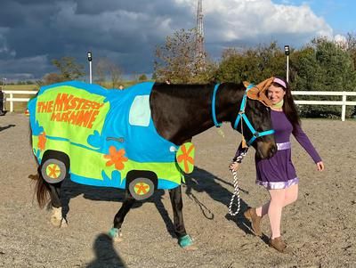 My favorite picture! This year I chose to be Mystery Inc. with my horse, Earl and my friend Emily and her horse, Meatball. We wanted something that would make kids and adults Horse And Rider Halloween Costumes Diy, Horse Custom Halloween, Horse Costumes For People, Horse And Human Halloween Costumes, Horse And Owner Halloween Costumes, Black Horse Costume Ideas, Horse Costume Class Ideas, Costumes For Horses And Rider, Horse Halloween Costumes Equestrian