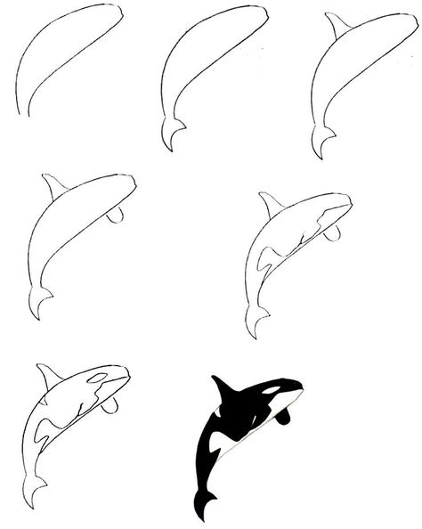 8 Easy Steps To Create A Killer Whale Drawing – How To Draw A Killer Whale Killer Whale Drawing, Under The Sea Drawings, Whale Sketch, Killer Whale Tattoo, Trin For Trin Tegning, Sea Creatures Drawing, Orca Art, Whale Drawing, Ocean Drawing