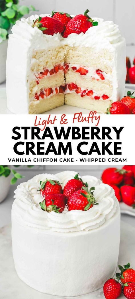 Dive into strawberry heaven with our Strawberry Cream Cake, a delightful treat perfect for any occasion! This easy recipe, featuring layers of moist vanilla chiffon cake and a luscious sweet and juicy fruity fresh strawberry filling, is made from scratch. Topped with a fluffy and light whipped cream frosting, it's reminiscent of a classic strawberry shortcake. Celebrate the sweetness of spring with this irresistible dessert! Pie, Essen, Cake Not Too Sweet, Easy Cake Recipes Strawberry, Fluffy Moist Vanilla Cake, Strawberry Cake For First Birthday, Cheesecake Factory Whipped Cream Recipe, Strawberry And Whipped Cream Cake, Strawberries And Cream Cake Filling