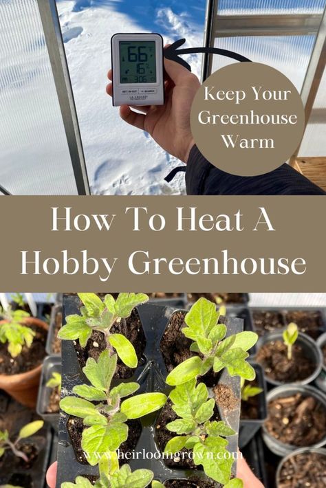 Greenhouse Heaters, Simple Greenhouse, Solar Greenhouse, Heating A Greenhouse, Diy Greenhouse Plans, Best Greenhouse, Hobby Greenhouse, Outdoor Greenhouse, Building Raised Garden Beds