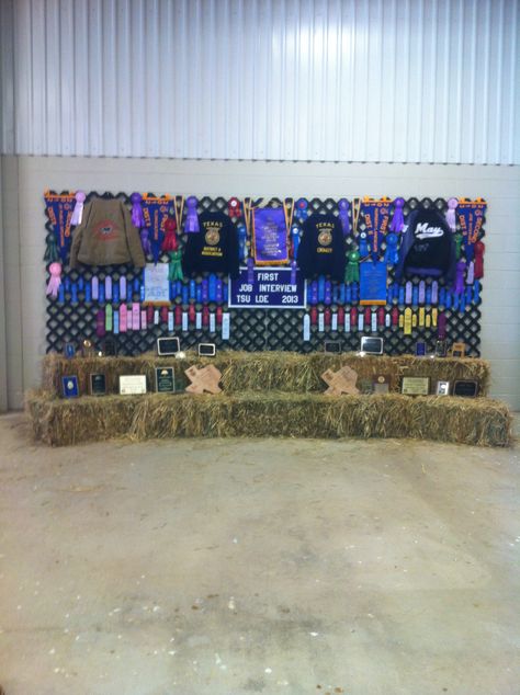 Ffa awards display Ffa Awards Display, Show Cattle Graduation Party, Ffa Sayings, Ffa Banquet Decorations, Ffa Decorations, Ffa Banquet Ideas, Ffa Scrapbook, Agriculture Teacher, Awards Display