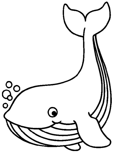 Whale Coloring, Whale Coloring Pages, Shark Coloring Pages, Fish Coloring Page, Cute Shark, Animal Crafts For Kids, A Whale, Art Drawings For Kids, Free Printable Coloring