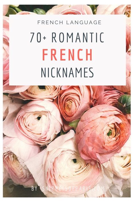 Terms Of Endearment For Guys, French Nicknames, Romantic Names For Boyfriend, Romantic Nicknames, French Pick Up Lines, French Quotes About Life, French Terms, Nicknames For Girlfriends, Love Nicknames