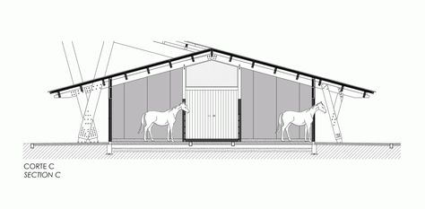 Equestrian Centre / Carlos Castanheira & Clara Bastai Horse Stables Design, Stable Yard, Petting Farm, Equestrian Stables, Horse Stable, Equestrian Center, Stables Design, Timber Structure, Modern Barn