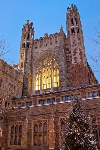 Yale Law School | Flickr - Photo Sharing! Yale University Law School, Yale Law Aesthetic, Yale Campus Aesthetic, Yale University Aesthetic Campus, Yale Law School Aesthetic, Harvard Law School Aesthetic, Yale University Aesthetic, Yale Aesthetic, Yale Campus