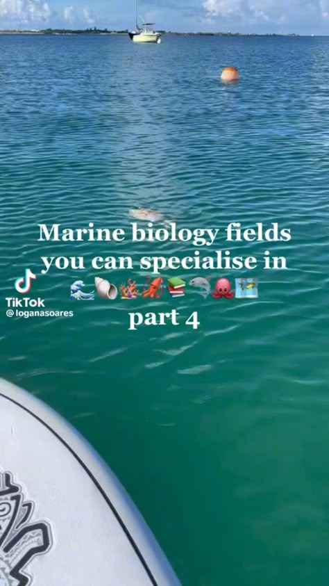 not my video🌊 Marine Biology Crafts, Marie Biology, Marine Biology Motivation, Ocean Facts, Marine Biology College, Aesthetic Marine Biologist, Marine Biology Notes Sharks, Studying Marine Biology, Shark Study