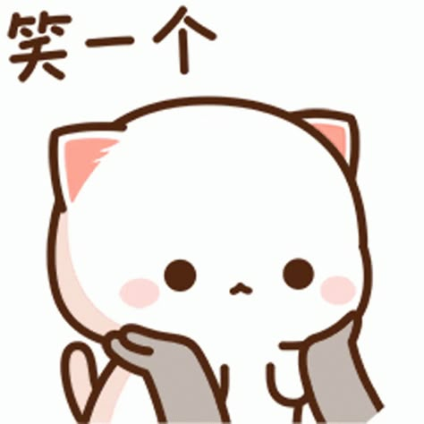 Peach Sticker, Peach Goma, Emoji Drawings, Chibi Cat, Cute Bear Drawings, Cute Cartoon Images, Cute Love Cartoons, Cute Cat Gif, Cute Couple Art