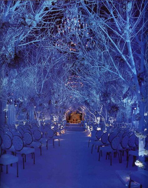 Enchanted forest wedding Winter Wedding Decorations Diy, Winter Wonderland Wedding Decorations, Wonderland Wedding Decorations, Diy Winter Wedding, Enchanted Forest Wedding, Winter Wedding Decorations, Wedding Vow, Winter Wonderland Wedding, Wonderland Wedding