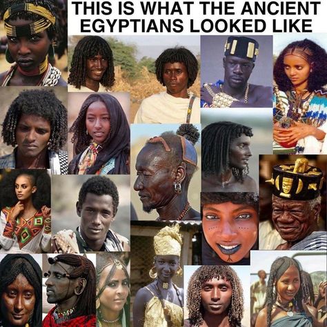 Ancient Egypt was a divergent of the vast Majority of phenotypes found all across the continent of Africa. It was also a mix of all the cultures found across the continent and the evidence is in these regions still living on today. Kemet is Africa and will forever be.🌍 The Eve Gene, African History Facts, Egyptian People, African History Truths, Black Lifestyle, African American History Facts, Ancient Egypt History, Black Fact, Black Consciousness