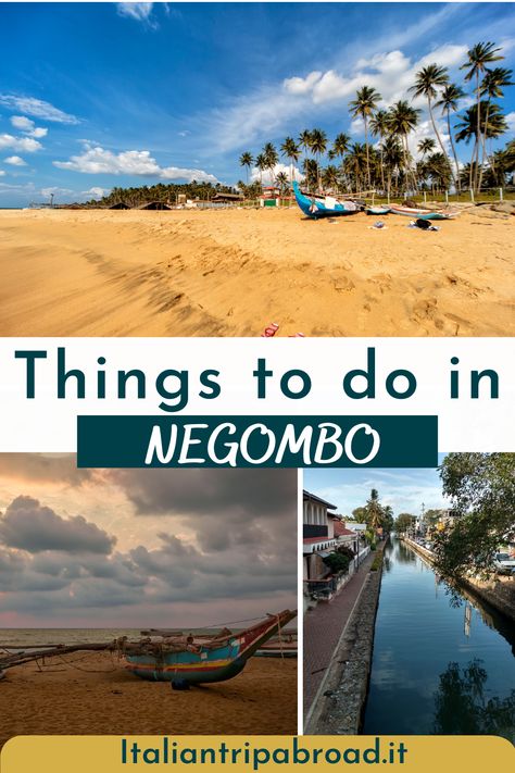 Let's discover all the top things to do in Negombo Sri Lanka | negombo sri lanka | negombo sri lanka the beach | negombo sri lanka hotels | negombo sri lanka food | negombo sri lanka sunsets | negombo beach sri lanka | things to do in negombo | negombo things to do | what to do in negombo | negombo palces to see | negombo travels | negombo beaches | best things to do in negombo | #negombo #srilanka #asia #travels #italiantripabroad Negombo Sri Lanka, Sri Lanka Food, Sri Lanka Hotels, Traveling Aesthetic, Italian Trip, Photography Group, Sri Lanka Travel, Beach Side, Couple Getaway