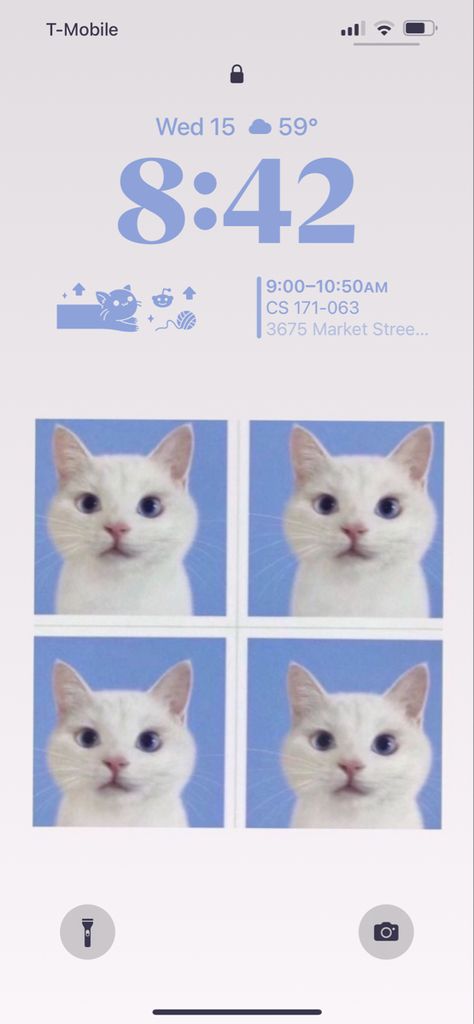 Cat Iphone Layout, Iphone Lockscreen Purple, Cat Homescreen Layout, Cat Phone Layout, Wallscreen Ideas, Aesthetic Lockscreen Layout, Iphone Layout Lockscreen, Layout Design Iphone, Cat Phone Theme