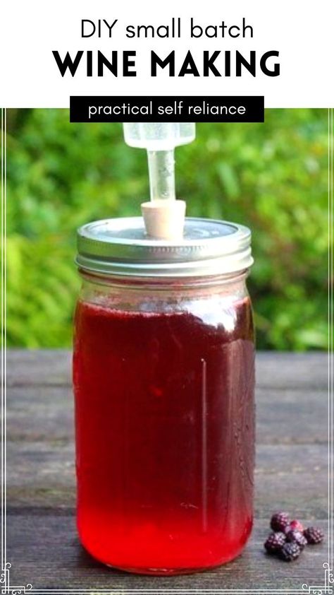 How To Make Wine From Grapes, Homesteading Gifts, Making Wine From Grapes, Wine Making Recipes, Homemade Wine Recipes, Muscadine Wine, Raspberry Wine, Dandelion Wine, Blackberry Wine