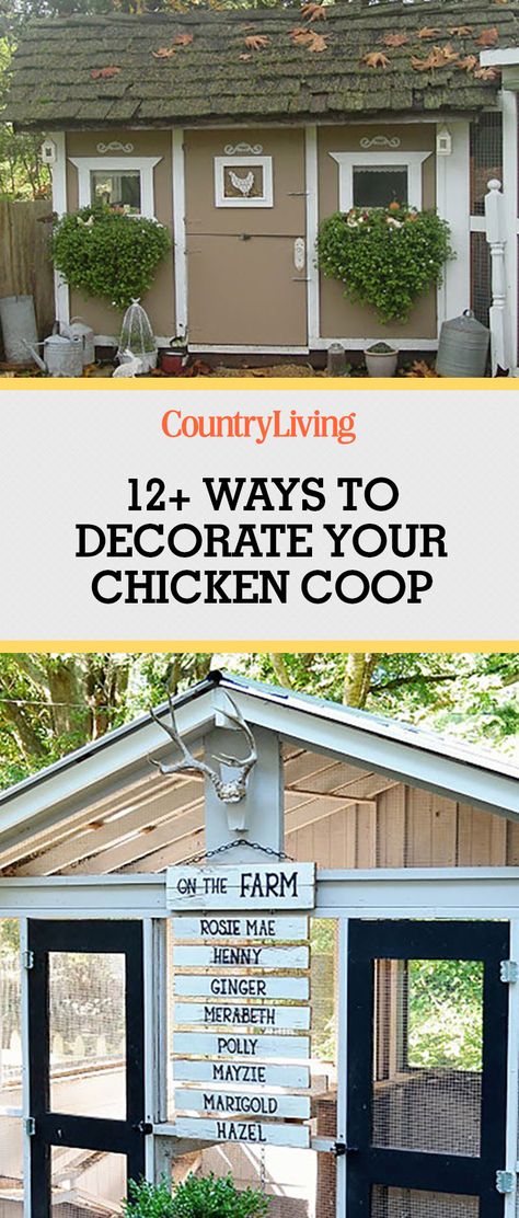 Building your own backyard chicken coop? Use these creative design ideas to make your chickens feel at home. Coop Decorating Ideas, Chicken Coop Decorating Ideas, Urban Chicken Farming, Backyard Chicken Coop, Cute Chicken Coops, Home Gym Ideas, Creative Design Ideas, Portable Chicken Coop, Coop Design