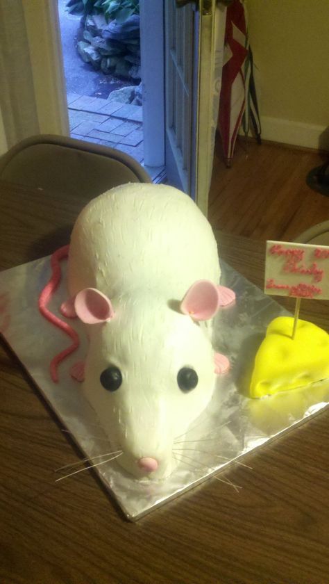 Rat Themed Birthday Party, Rat Cakes Funny, Rat Themed Party, Rat Birthday Party, Rat Themed Birthday, Rat Cakes Birthday, Rat Cakes, Frog Bread, Mouse Cake Ideas