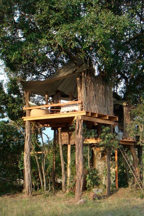 Simple Tree House, Backyard Fort, Bushcraft Shelter, Treehouse Hotel, Tree House Plans, Bamboo House Design, Tree House Diy, Cool Tree Houses, Simple Tree