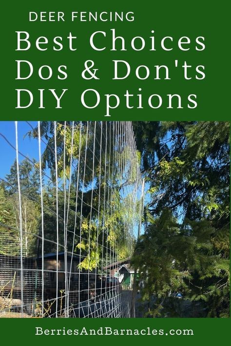 Wire deer fencing. Diy Fencing, Deer Fencing, Fencing Options, Deer Fence, Diy Fence, Garden Fencing, Pros And Cons, Garden Supplies, Fencing