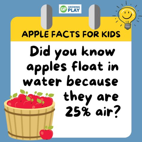 Apple Facts for Kids - Growing Play Seahorse Facts, Apple Facts, Dots Free, Apple Baskets, Mazes For Kids, Fun Lunch, Dinosaur Coloring Pages, Apple Prints, Apple Seeds