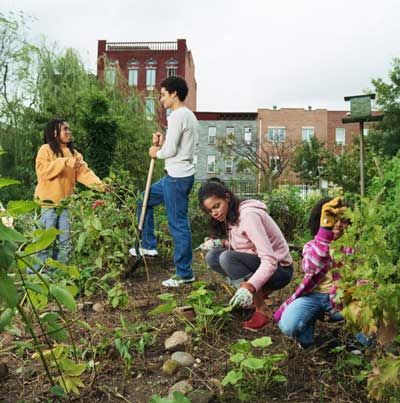 Trelleborg, Permaculture, Garden Organization, Volunteer Projects, Farm Landscape, Community Gardens, Community Garden, Food Shopping, Middle Schoolers