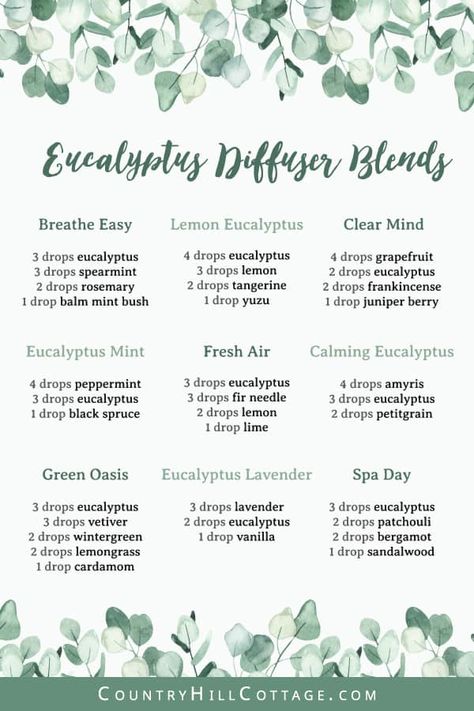 Eucalyptus Diffuser Blends, Lavender Diffuser, Oils For Relaxation, Eucalyptus And Lavender, Essential Oil Combinations, Essential Oil Diffuser Blends Recipes, Essential Oils Guide, Aromatherapy Benefits, Spa Night