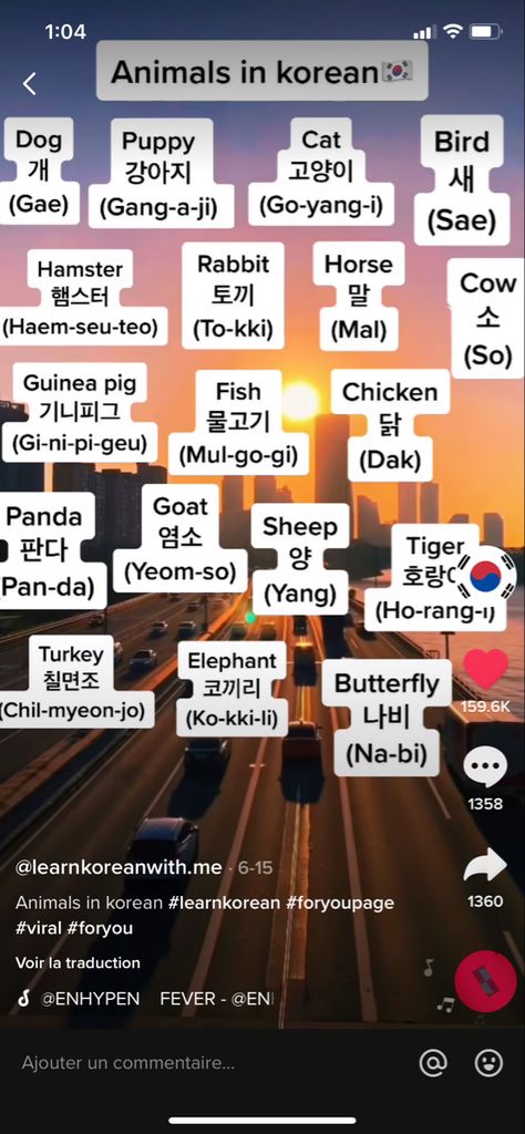 How To Write In Korean, Rock Paper Scissors In Korean, Korean Cuss Words, Korean Text Aesthetic, How To Learn Korean At Home, Seasons In Korean, Make Your Korean Name, Korea Words, Animals In Korean