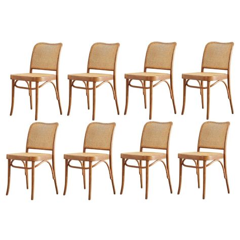 Josef Hoffman Bentwood and Cane Prague Chair for Thonet, 8 available For Sale at 1stDibs | prague chair josef hoffmann Prague, Dining Room, Bauhaus, Side Chairs, Josef Hoffmann, Dining Room Chair, Dining Room Chairs, The Originals, For Sale