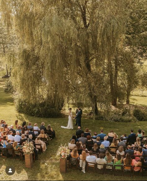 Wedding Outside Reception, Under A Tree Wedding, Tree Aisle Wedding, Ceremony In The Woods, Willow Tree House, Live Oak Wedding, Wedding Venue Nature, Pasture Wedding Reception, Small Wedding Big Reception