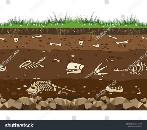 Soil with dead animals. Horizontal seamless earth underground surface with dinosaur and lizard bones vector illustrationHorizontal#seamless#earth#Soil Underground Illustration, Dead Animals, Bone Stock, Jacket Ideas, Bone Art, Soil Layers, Dinosaur Bones, 3d Shapes, Game Background